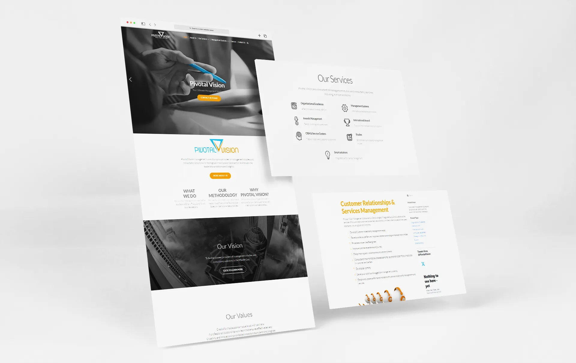 PVIMC website mockup